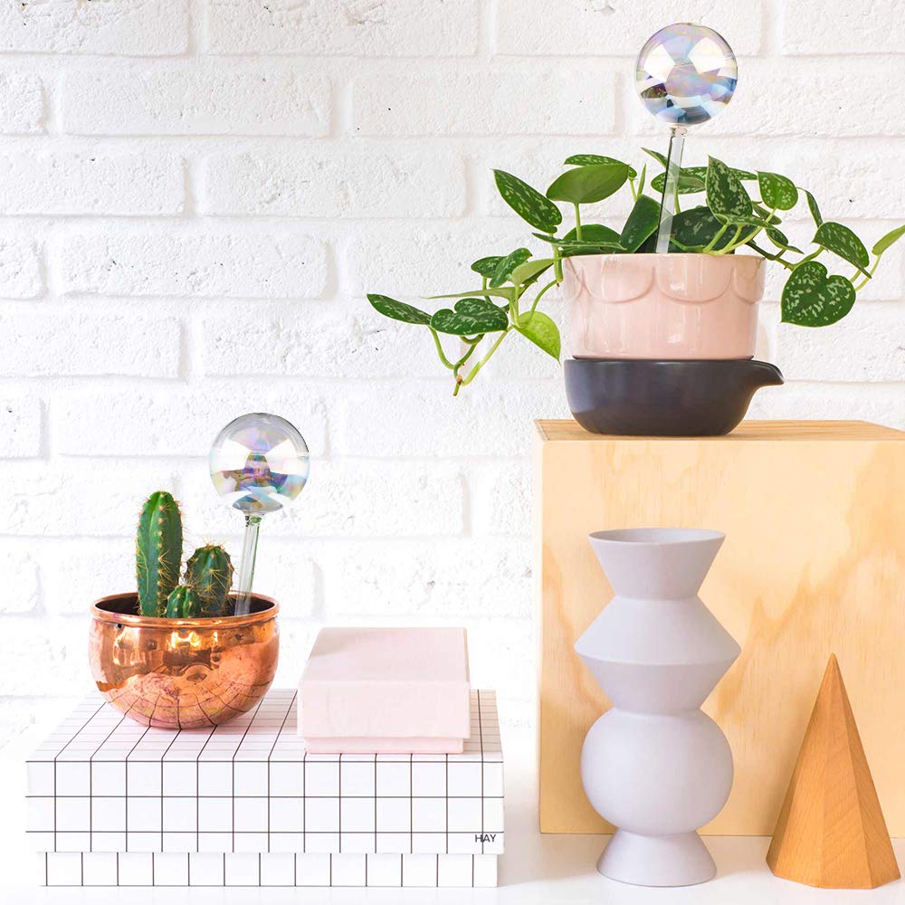 Tomorotec glass watering globes in packaging
