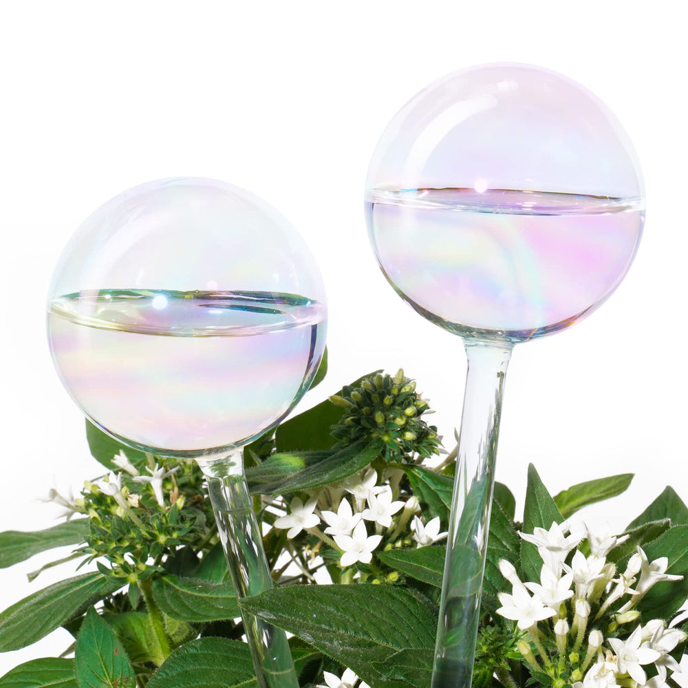 Tomorotec Rainbow Glass Plant Watering Globe front view