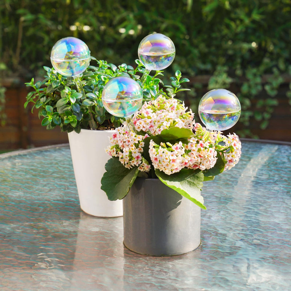 Tomorotec Rainbow Glass Plant Watering Globes pack of 4