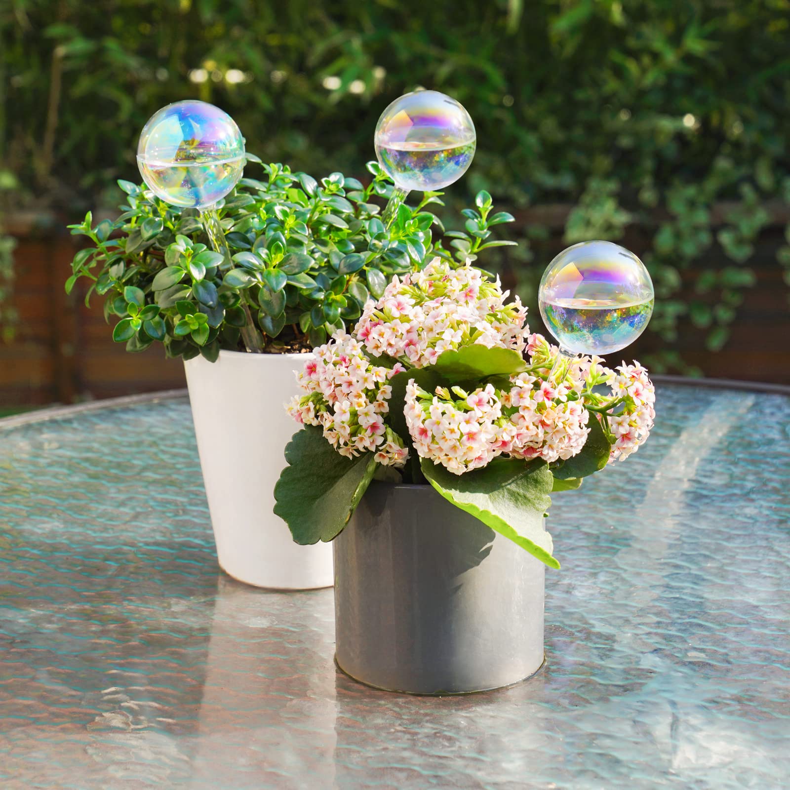 Tomorotec Rainbow Glass Watering Globe beside various houseplants
