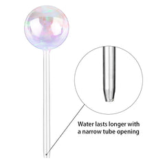Tomorotec self-watering globe filled with water