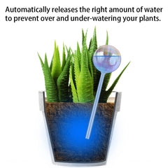 Tomorotec Self-Watering Stakes displayed in a plant arrangement