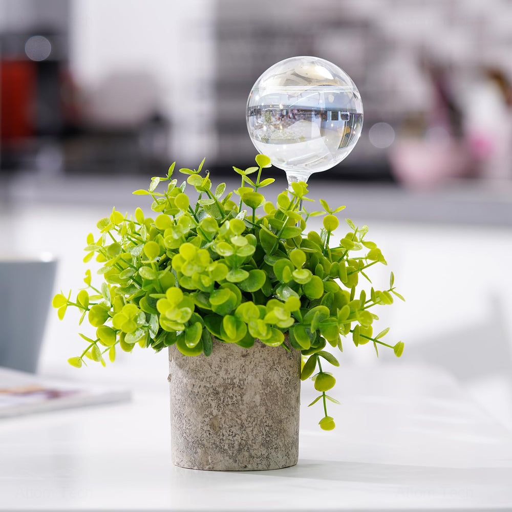 Tomorotec Self-Watering Stakes packaging display