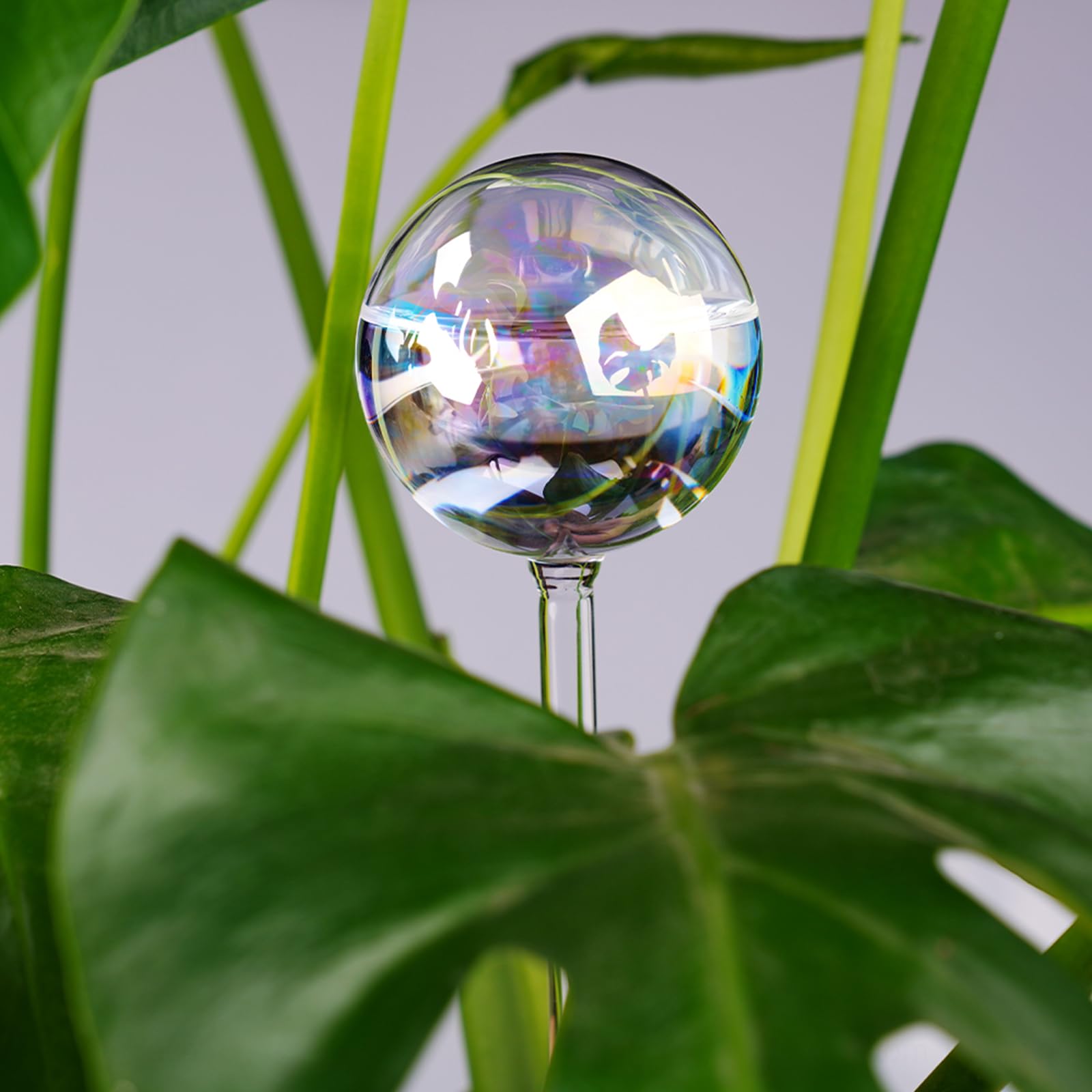 Tomorotec Self-Watering Stakes with a plant in a pot