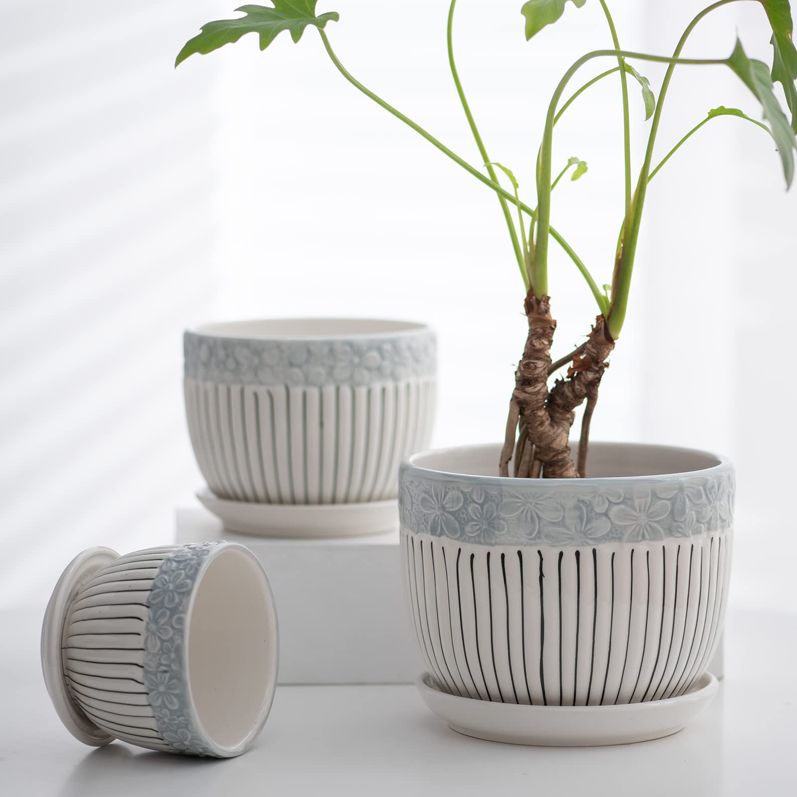 Ton Sin Gray Flower Pots Set of 3 with indoor plants