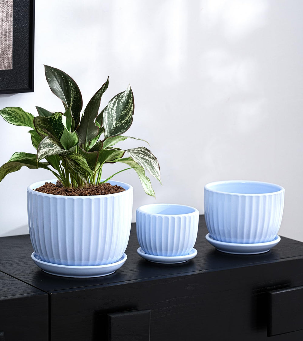 Ton Sin Sky Blue Ceramic Flower Pot 5 inch front view