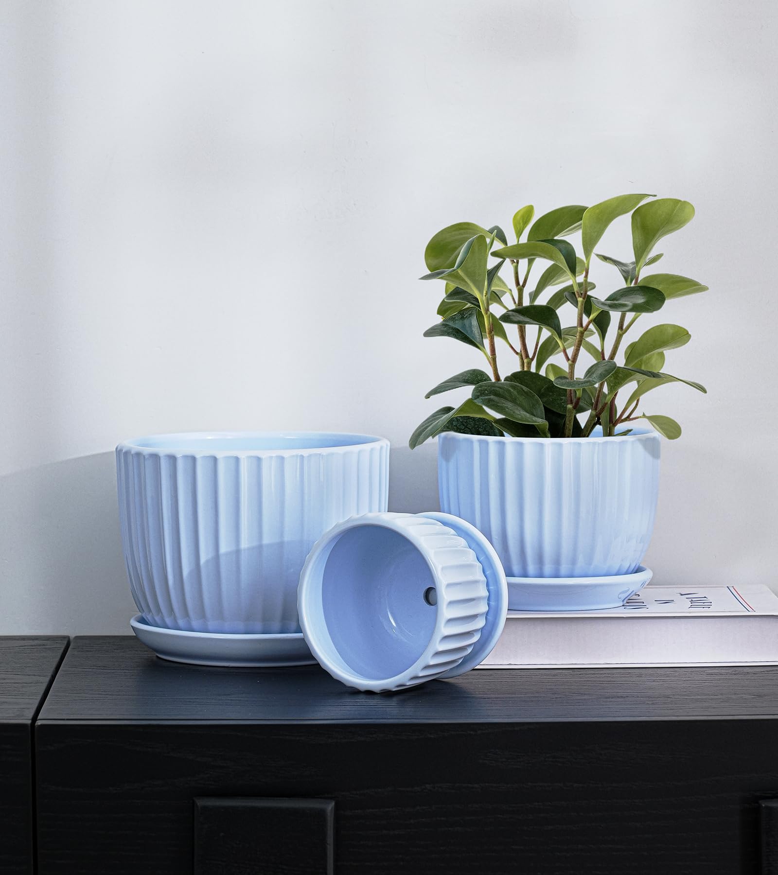 Ton Sin Sky Blue Ceramic Flower Pots in a gift box