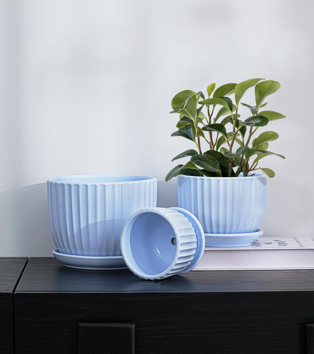 Ton Sin Sky Blue Ceramic Flower Pots in a gift box