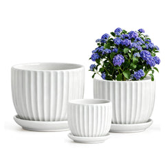 Ton Sin White Ceramic Flower Pot Set of 3, Large, Medium, Small