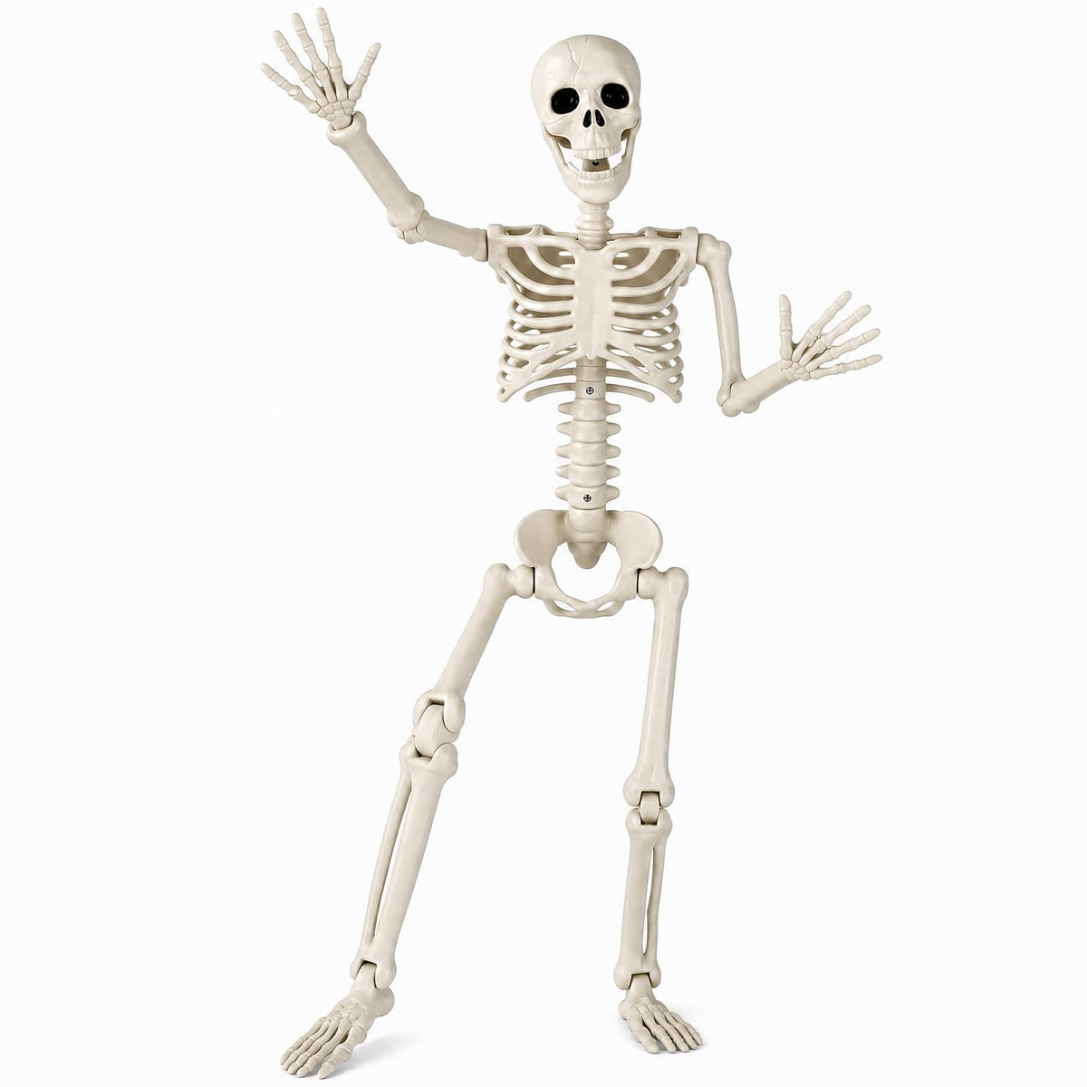 Toolterritary 36 inch Halloween skeleton decoration side view