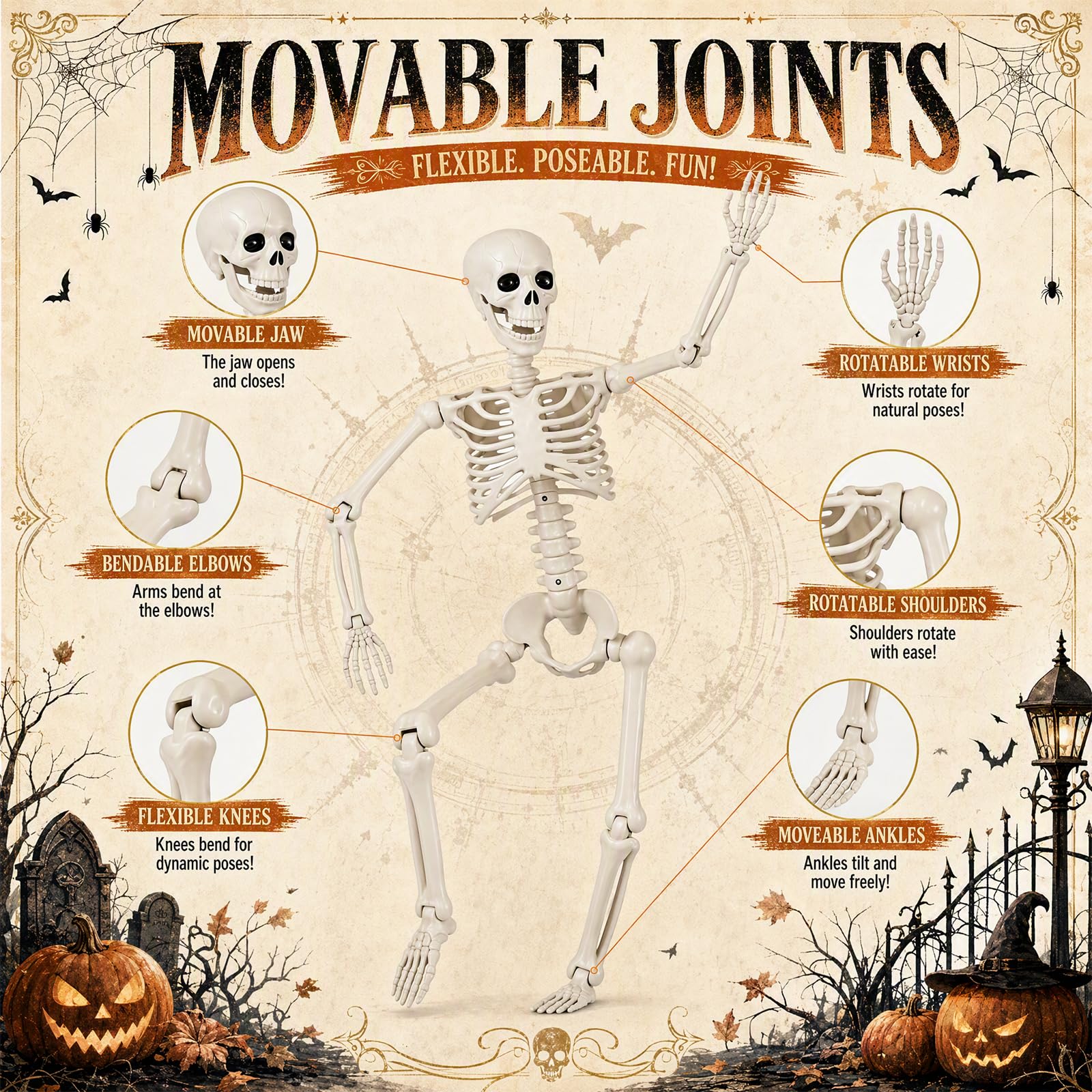 Toolterritary Halloween skeleton with posable joints