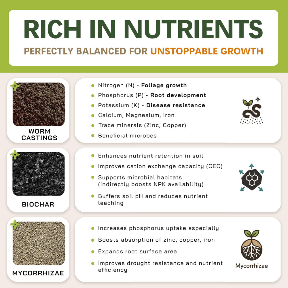 Top Tier Genetics AROID Soil Blend in a potted plant setup
