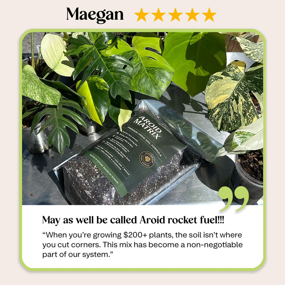 Top Tier Genetics AROID Soil Blend ready to use in garden