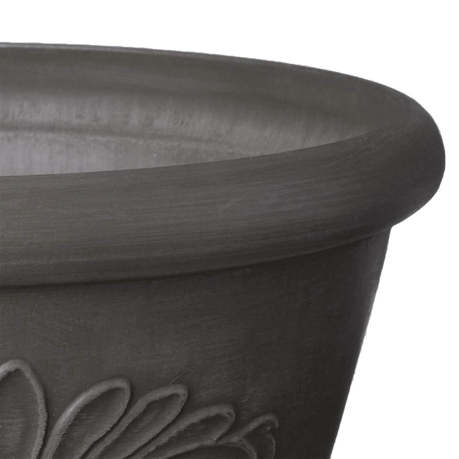 Top view of 8-inch bulb pan with plants inside