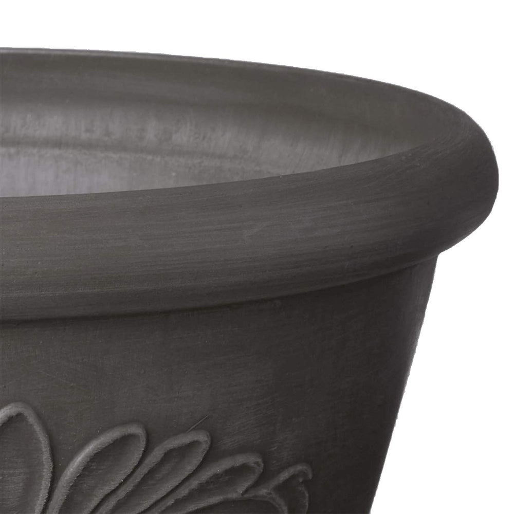 Top view of 8-inch bulb pan with plants inside