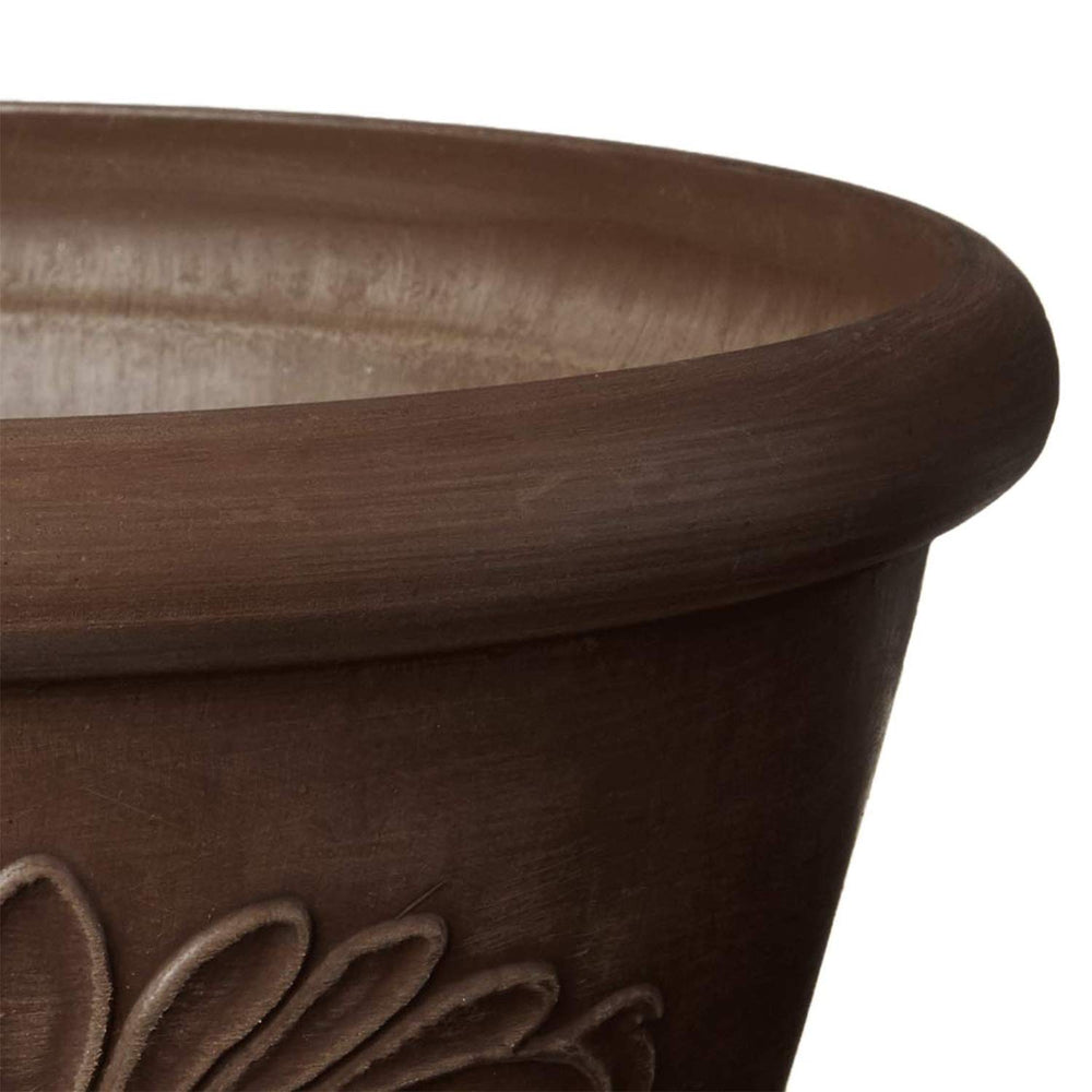 Top view of Arcadia 8-inch Bulb Pan with plants