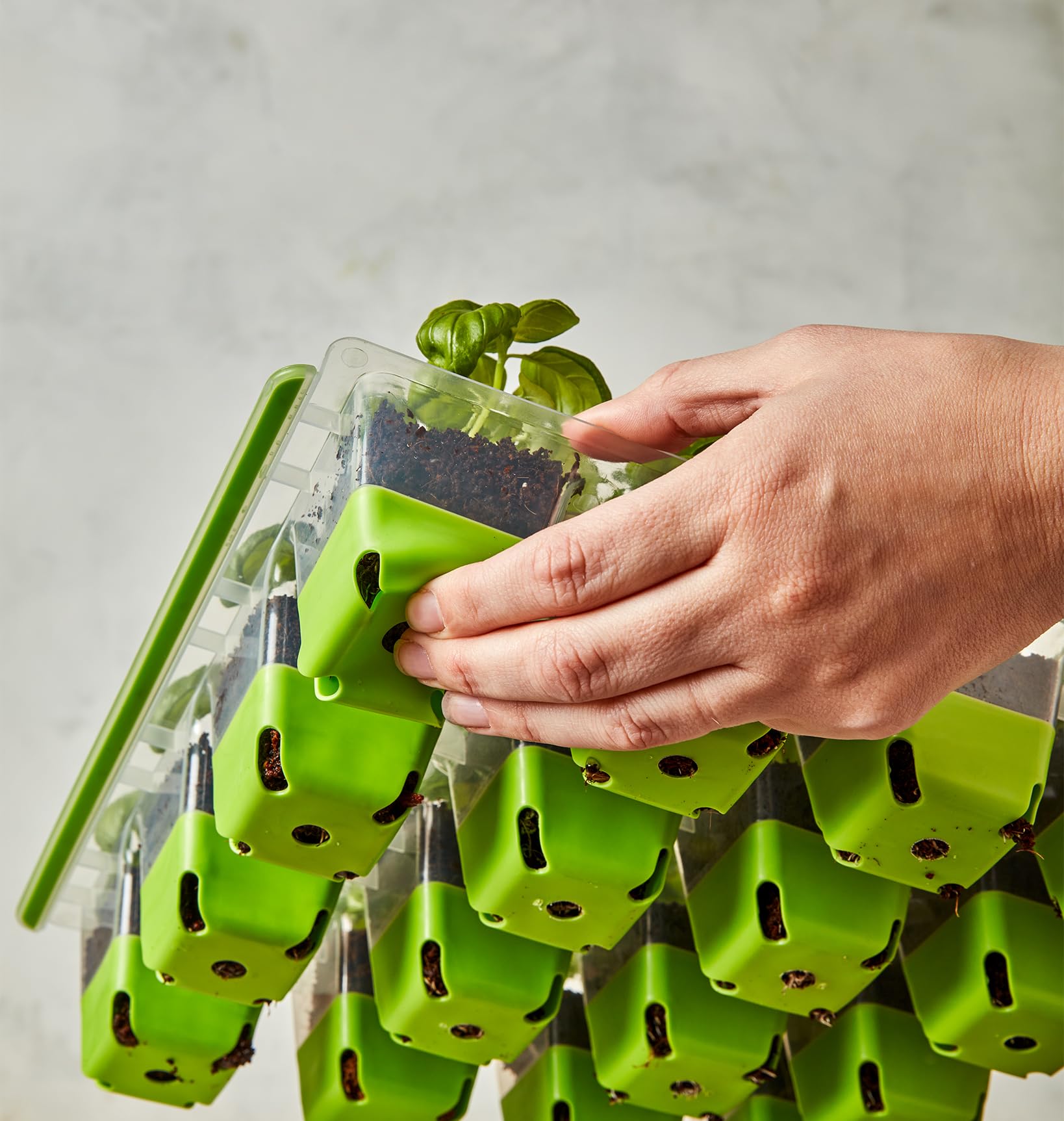 Top view of Burpee SuperSeed seed starting tray with labeled cells
