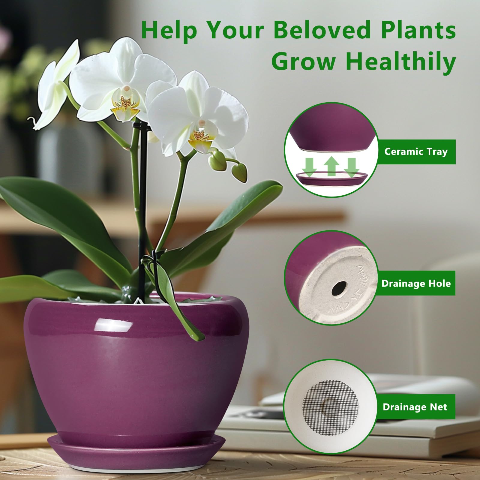Top view of Ceramicfor 6 Inch Ceramic Planter