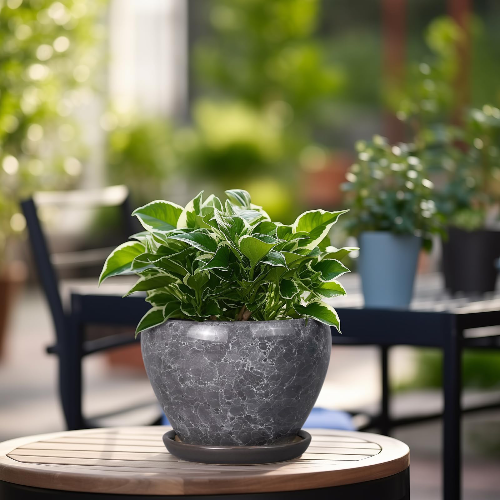 Top view of Ceramicfor 6 Inch planter with drainage net