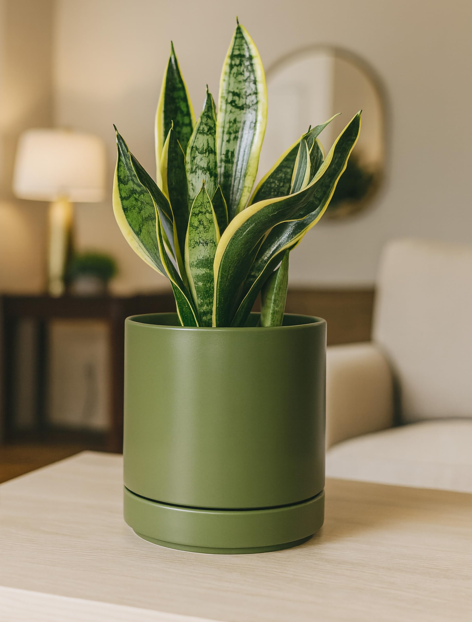 Top view of D'vine Dev 6.5 Inch Ceramic Planter Pot