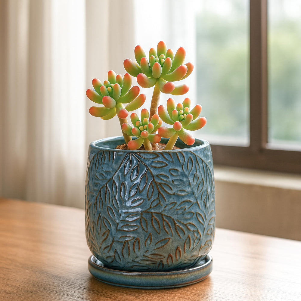 Top view of D'vine Dev ceramic planter showing interior dimensions