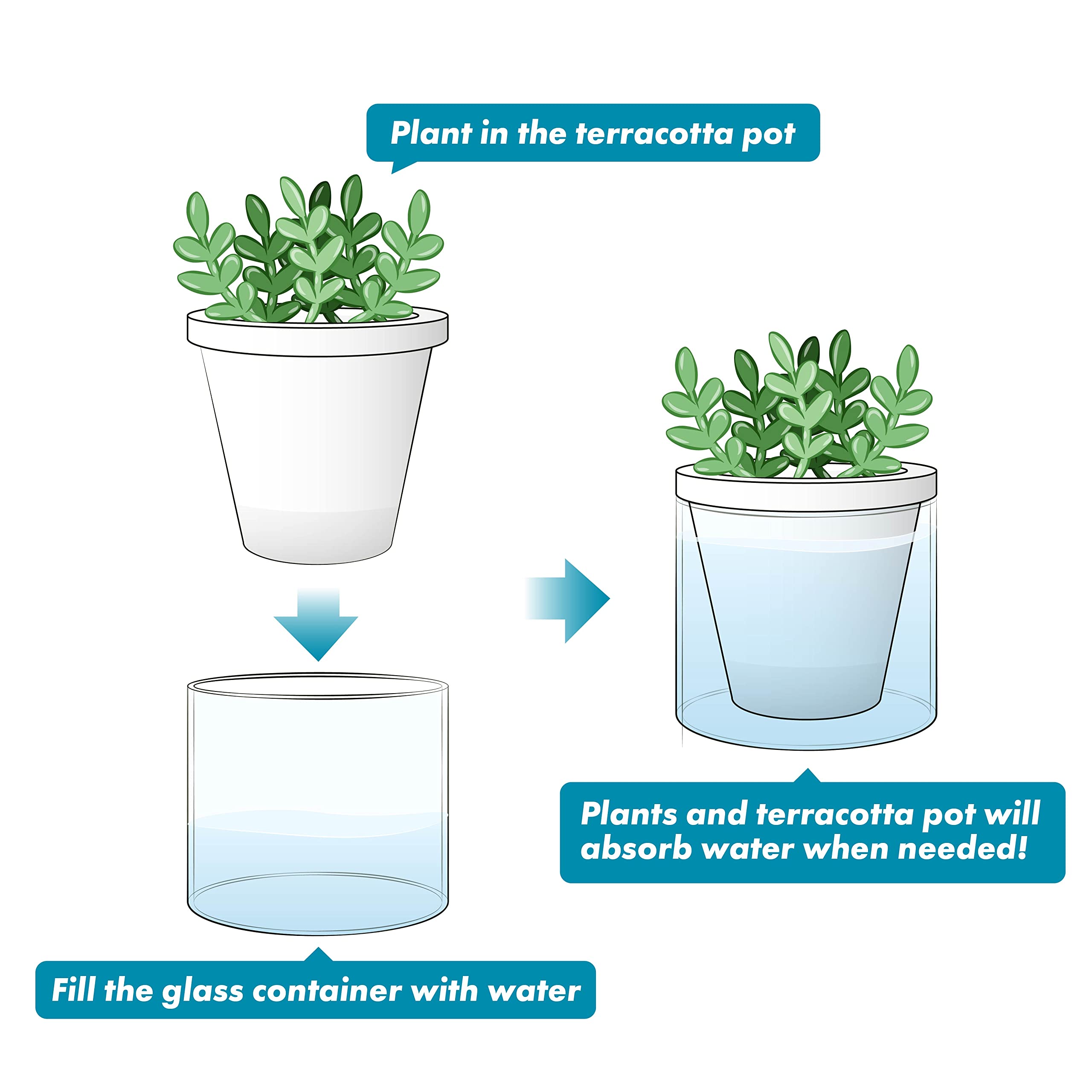 Top view of D'vine Dev self-watering planter