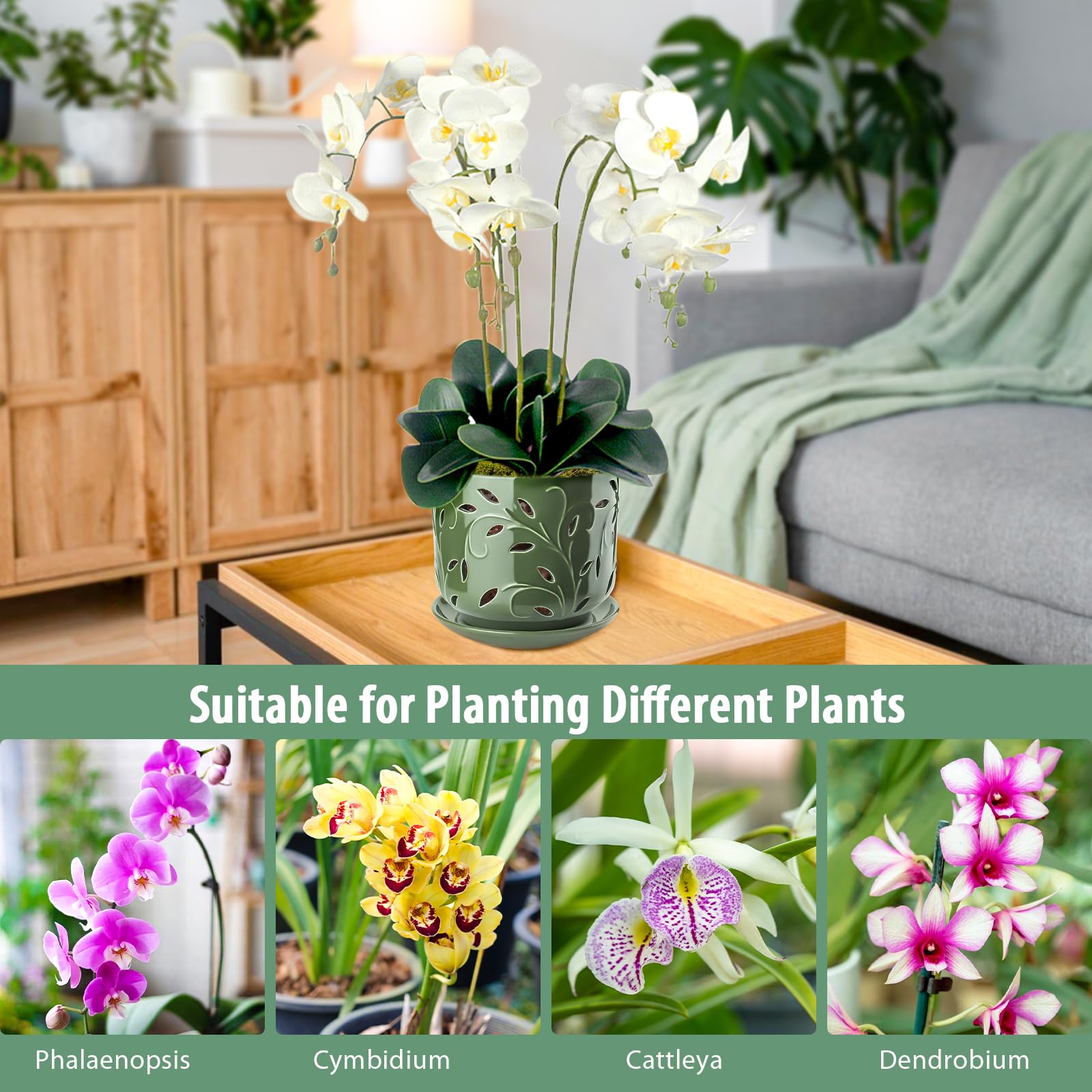 Top view of EFISPSS Orchid Pot with tray