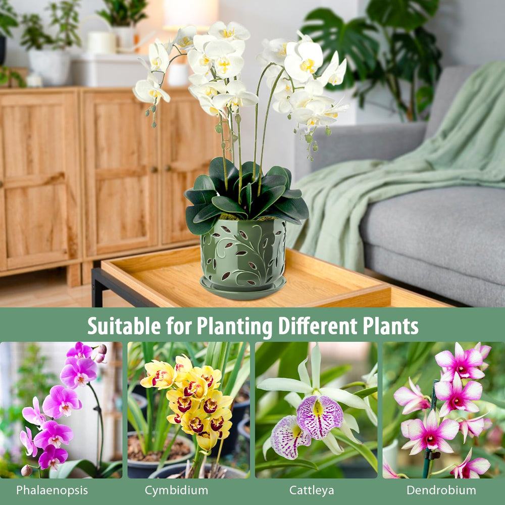 Top view of EFISPSS Orchid Pot with tray