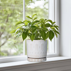 Top view of Eightpot 6 Inch Ceramic Planter