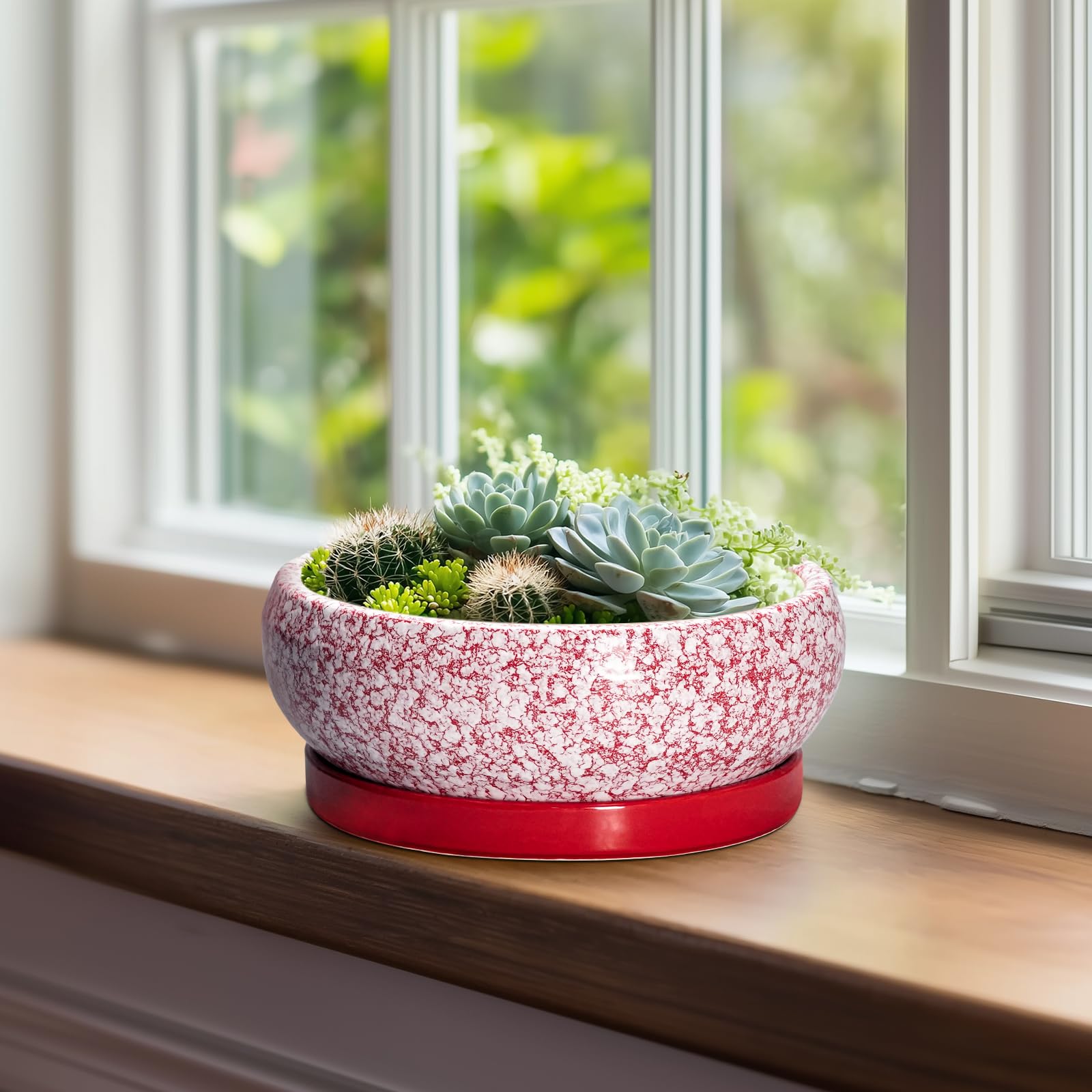 Top view of EPFamily 8 Inch ceramic pot with matching saucer