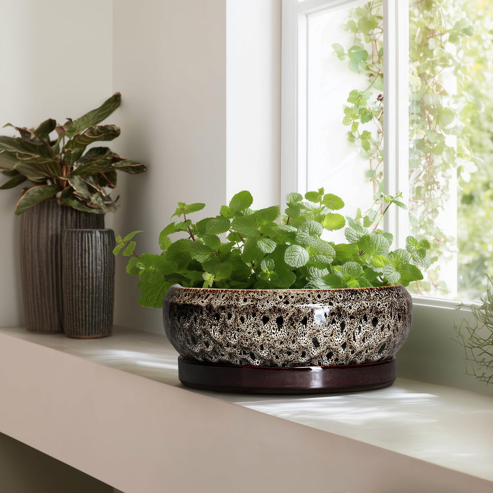 Top view of EPFamily Bonsai Planter showing dimensions