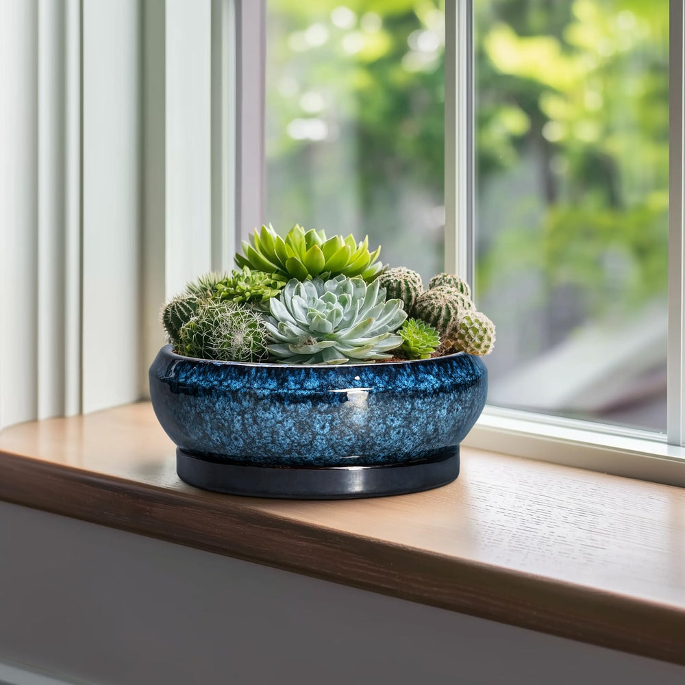 Top view of EPFamily Bonsai Pot showcasing drainage hole