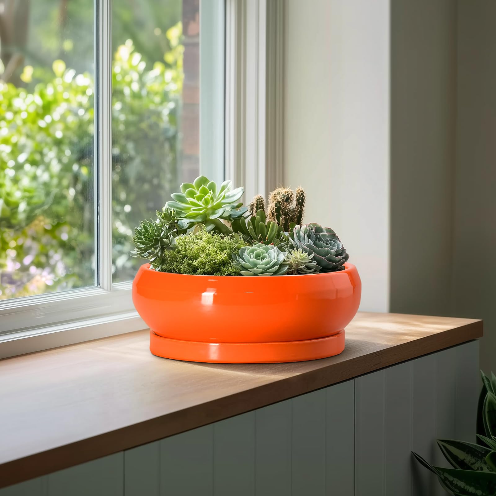 Top view of EPFamily ceramic succulent pot with plants