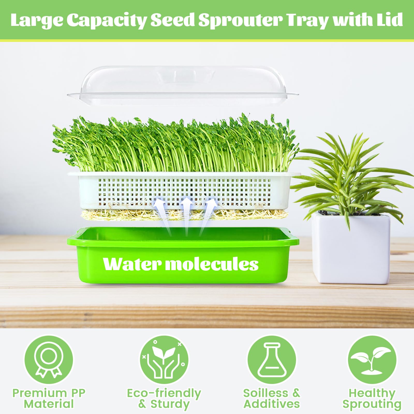Top view of microgreens growing in Legigo sprouter trays