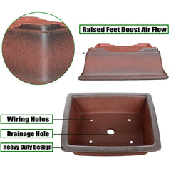 Top view of MUZHI bonsai planter with succulent