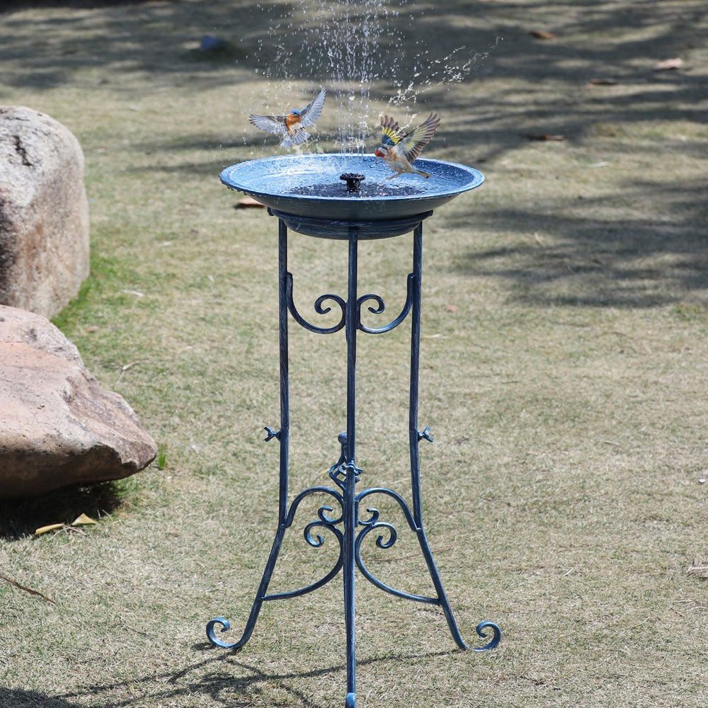 Top view of SMQLJXC bird bath with water and birds
