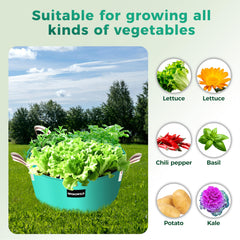 Top view of SPONDWILD Grow Bag with plants growing inside