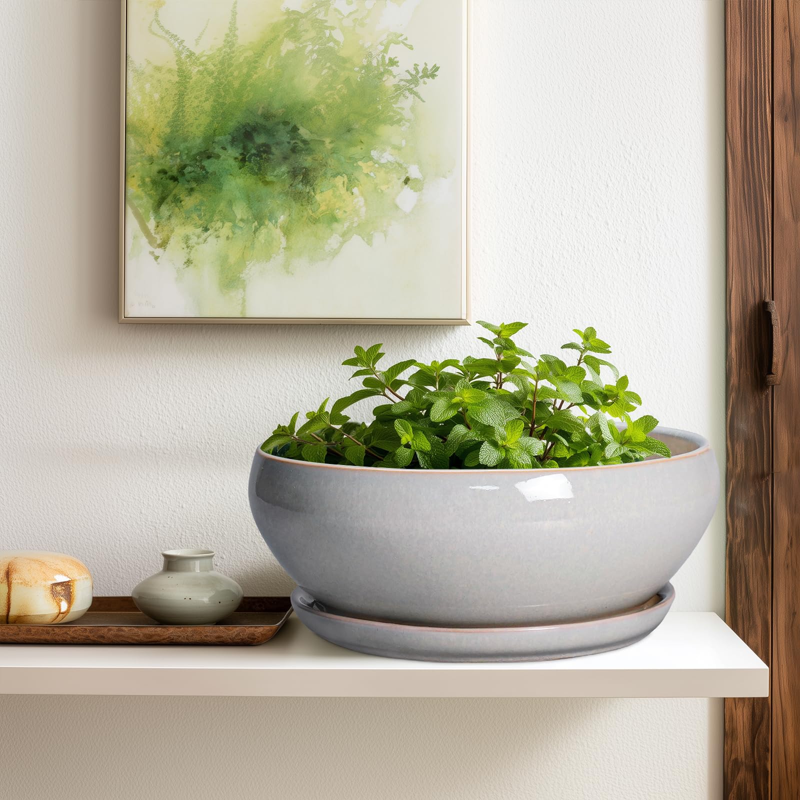 Top view of SQOWL Ceramic Bonsai Pot with mesh pad