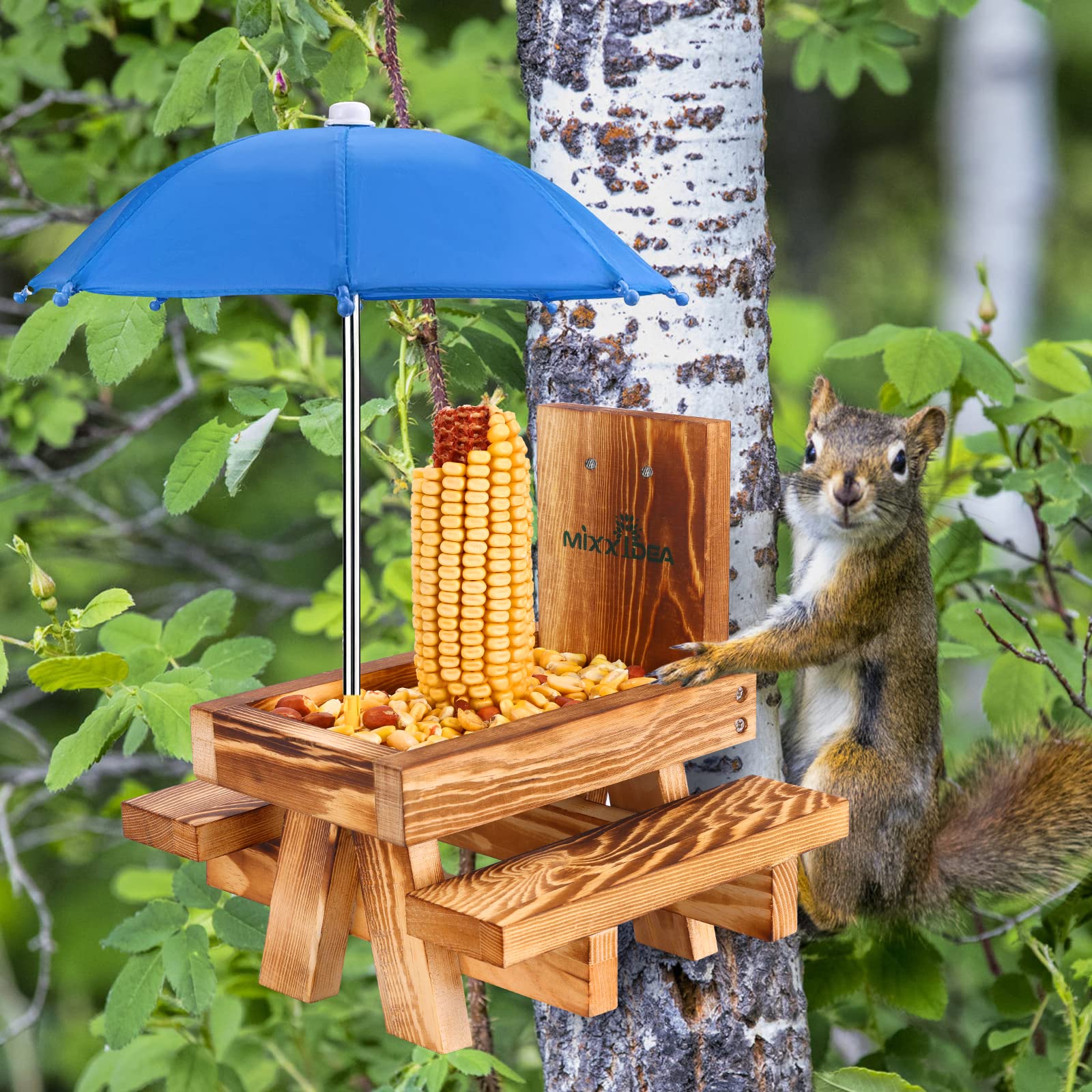 Top view of the blue umbrella on the squirrel feeder
