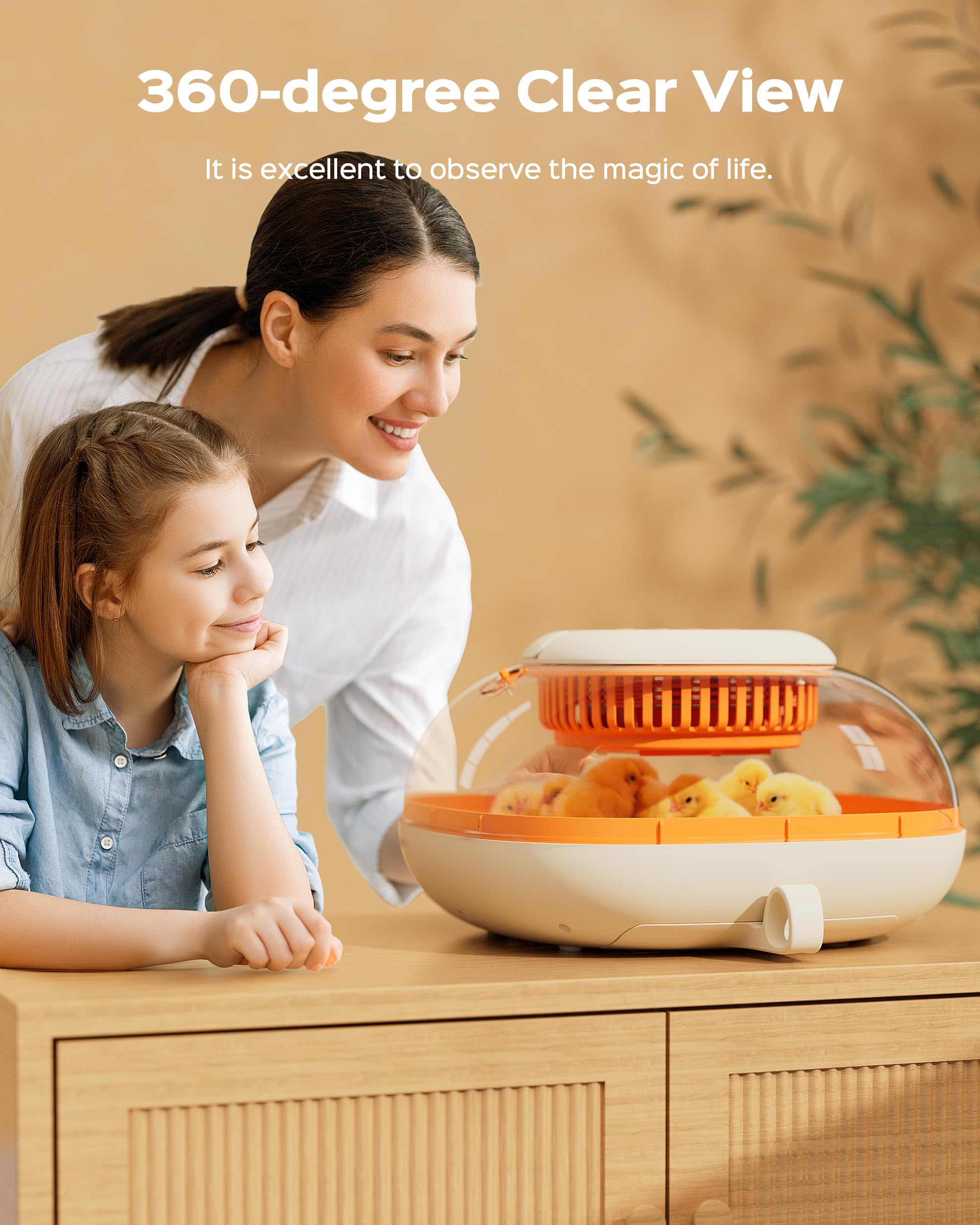 Top view of the Chickcozy 25 Egg Incubator with convenient lid handle