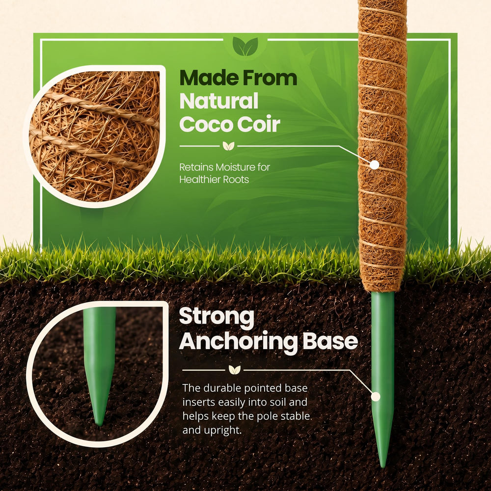 Top view of the K-Brands moss pole showing its texture