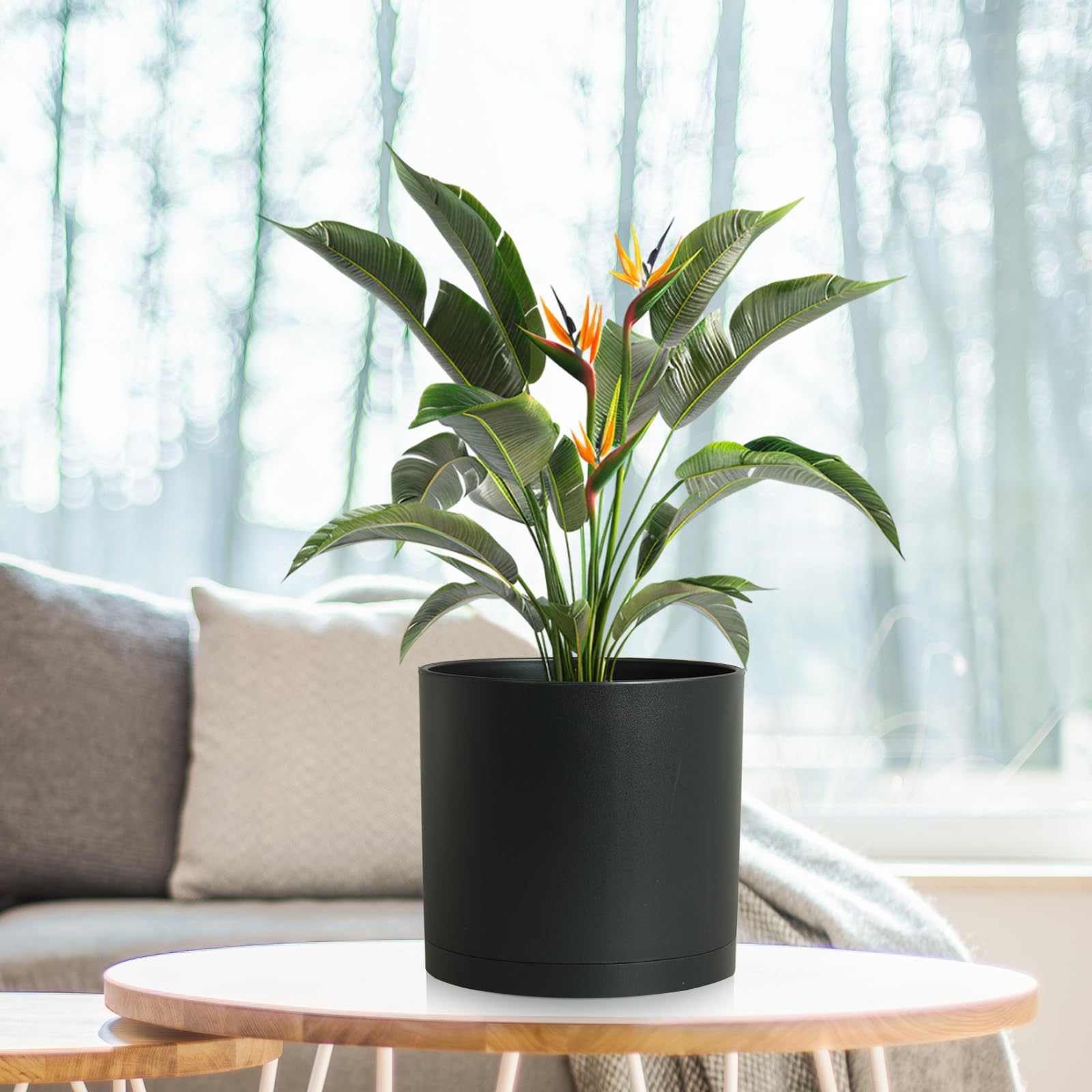 Top view of WSMKSZ plant pot with soil and plant