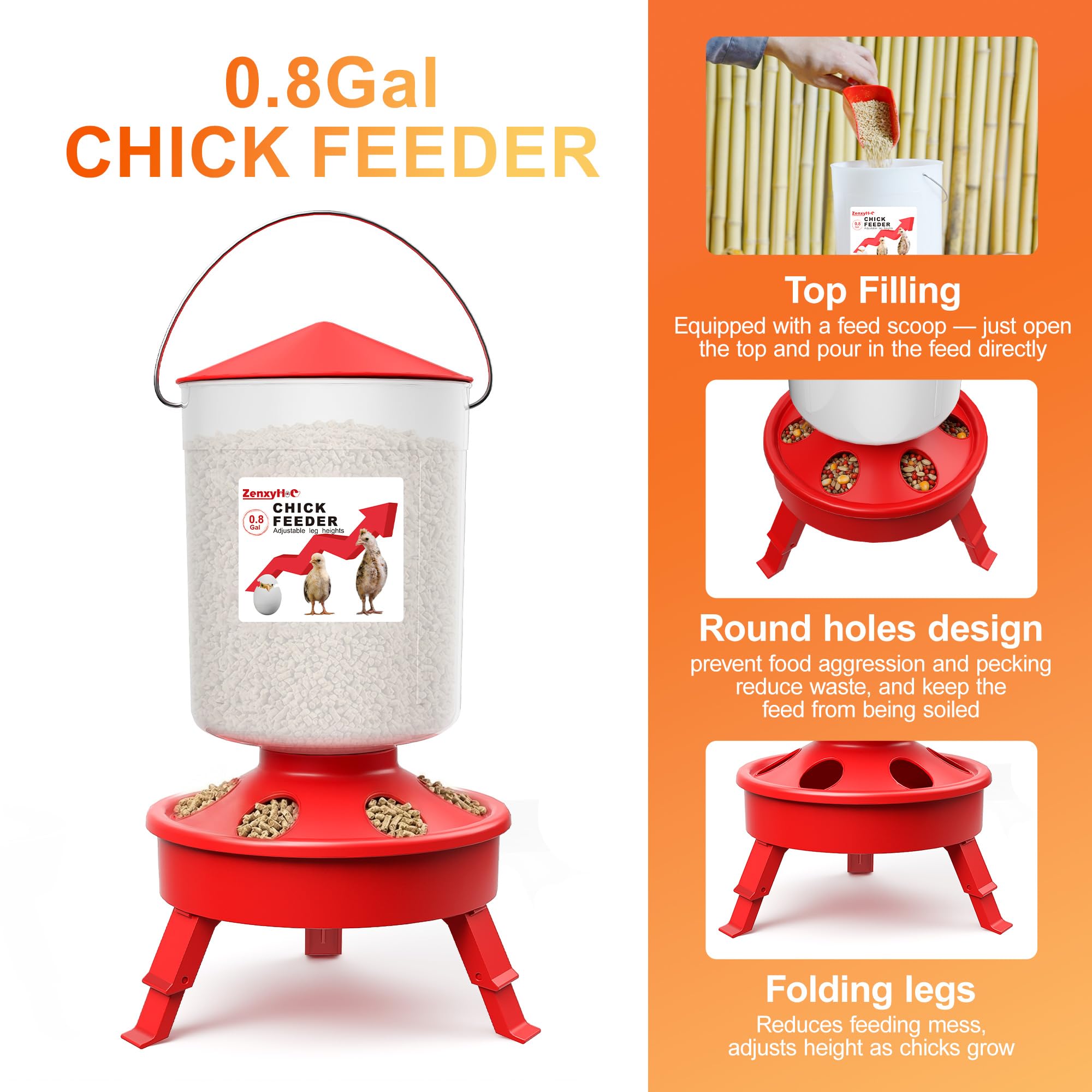 Top view of ZenxyHoC 0.8 Gal feeder with scoop