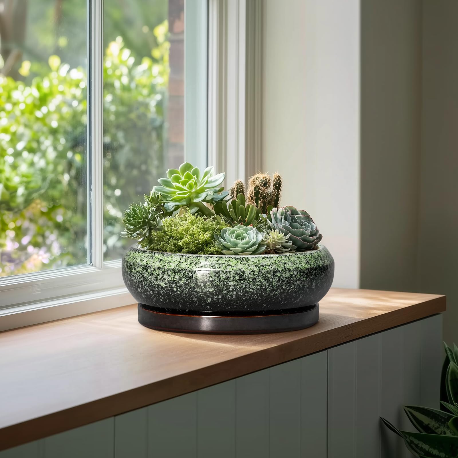 Top view showing the inner diameter of the bonsai pot