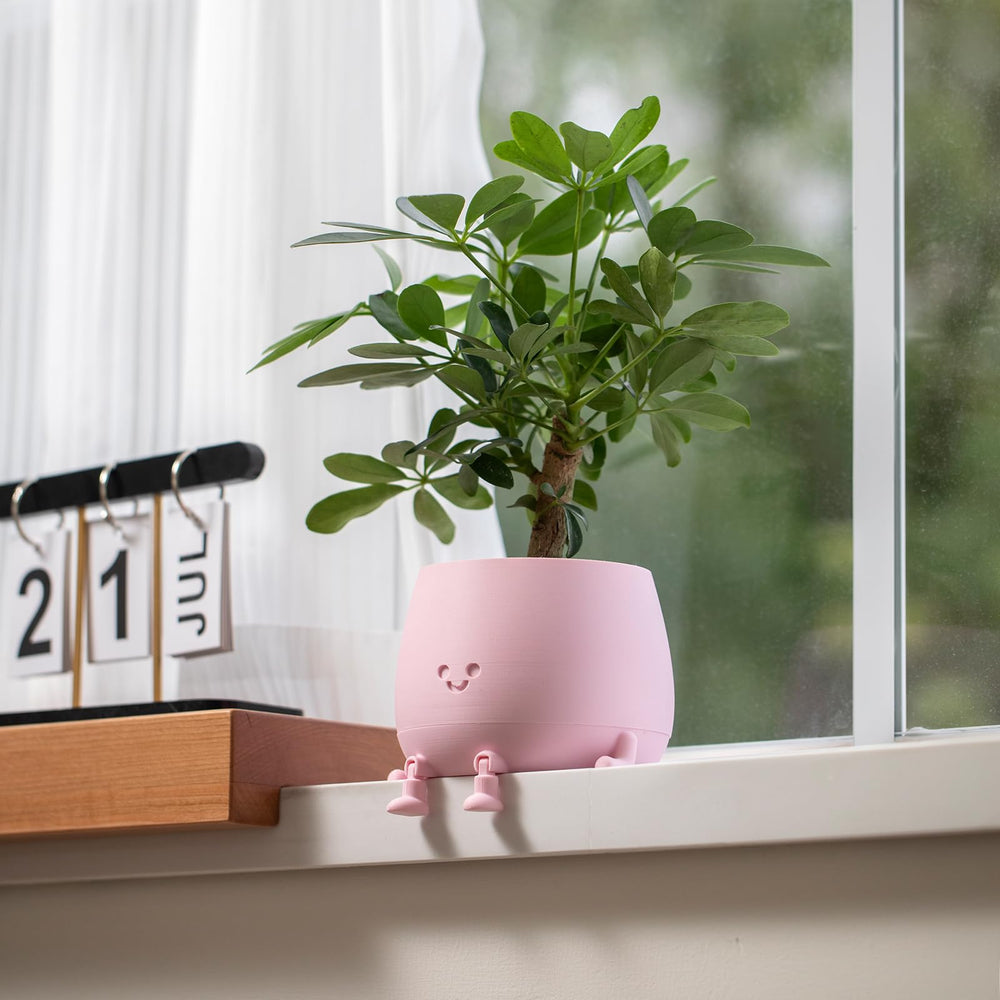 TOPOLA Happy Face Planter displayed with dried flowers