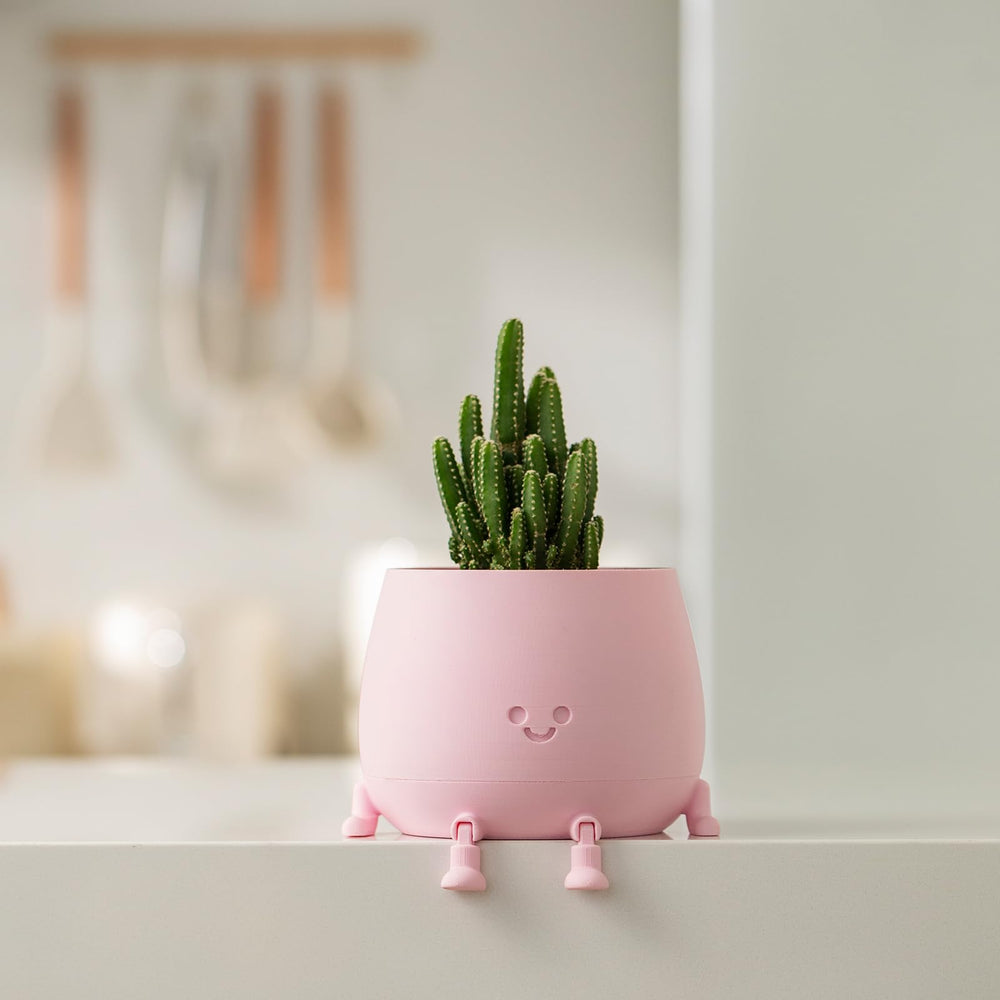 TOPOLA Happy Face Planter from a side angle