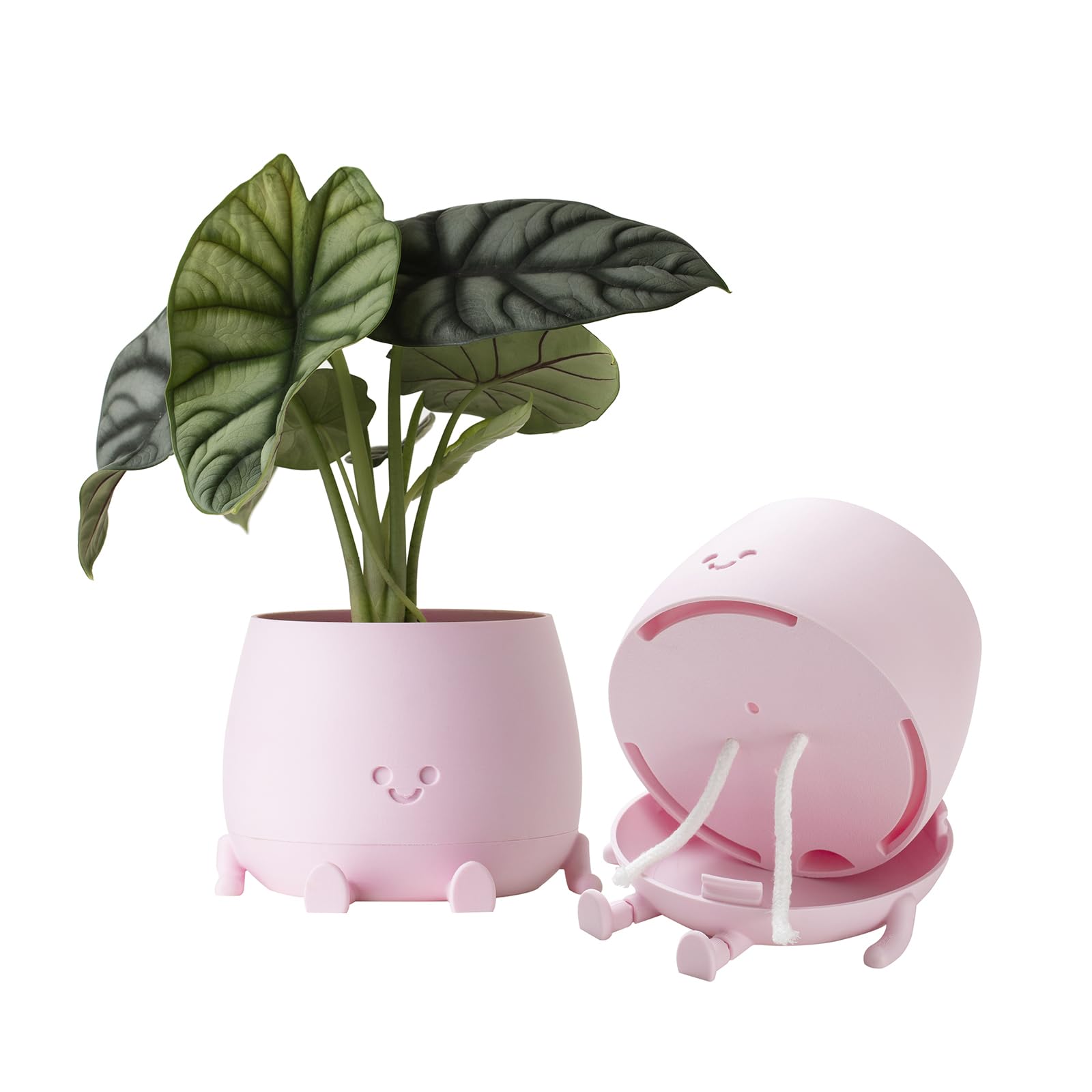TOPOLA Happy Face Planter front view in Sakura colour