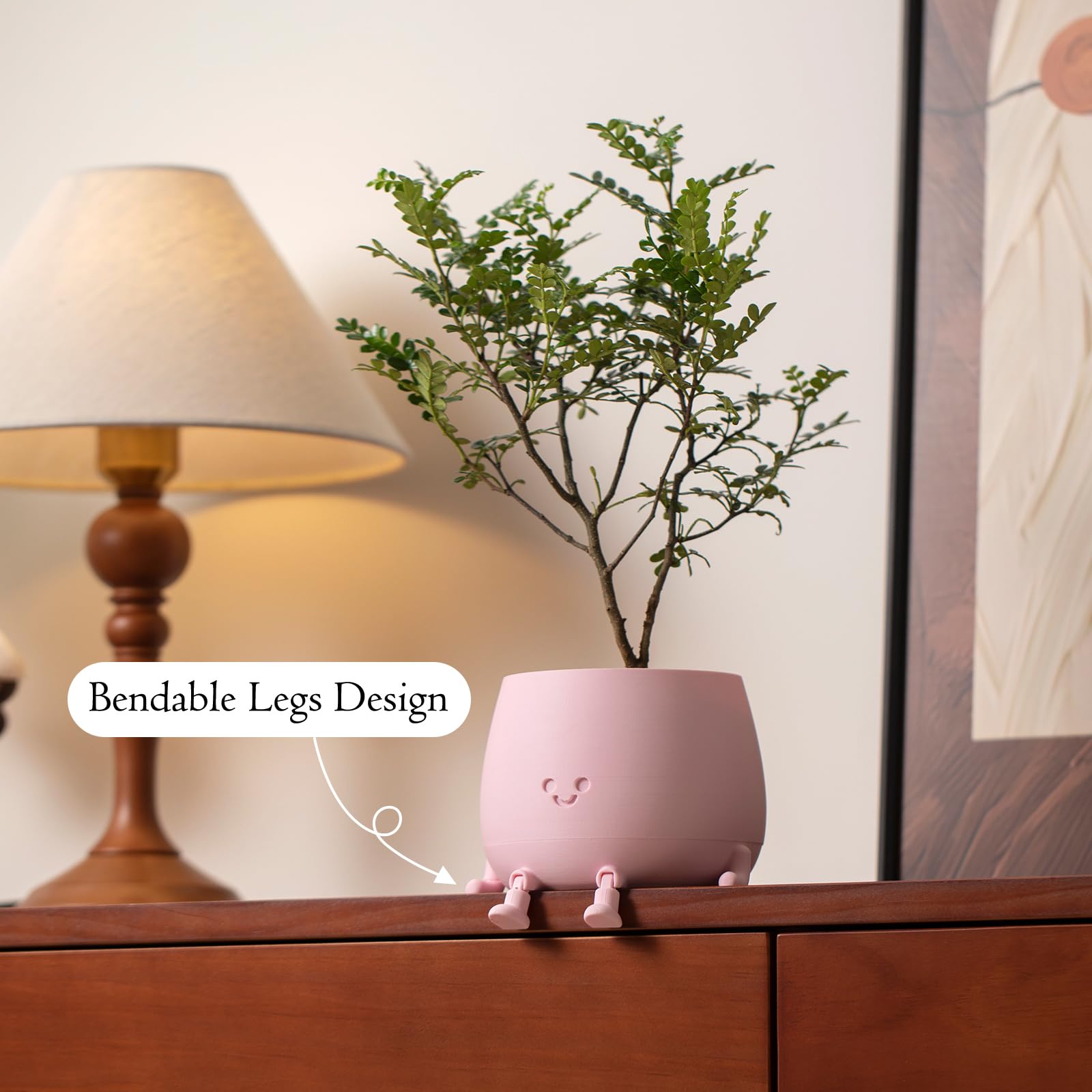 TOPOLA Happy Face Planter with succulent plants