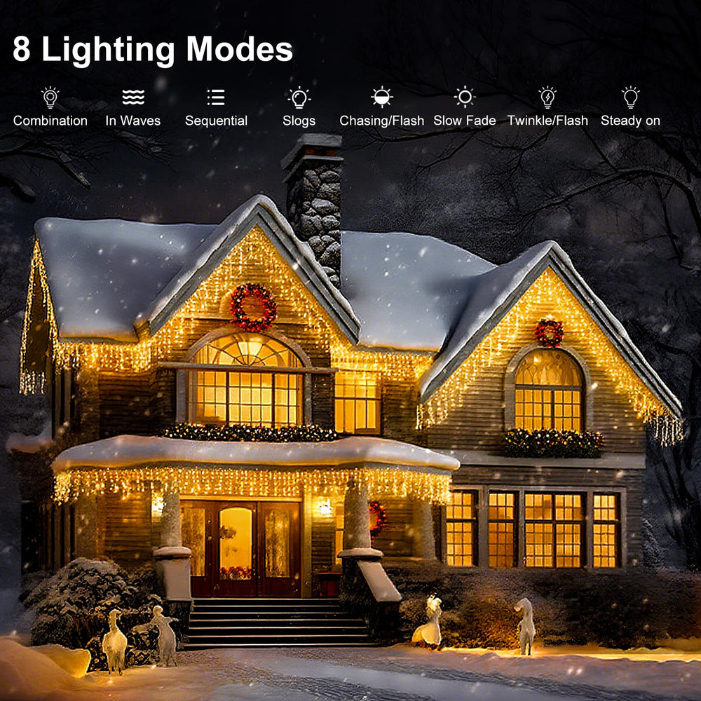TOPPORTED LED Icicle Lights remote control and adapter