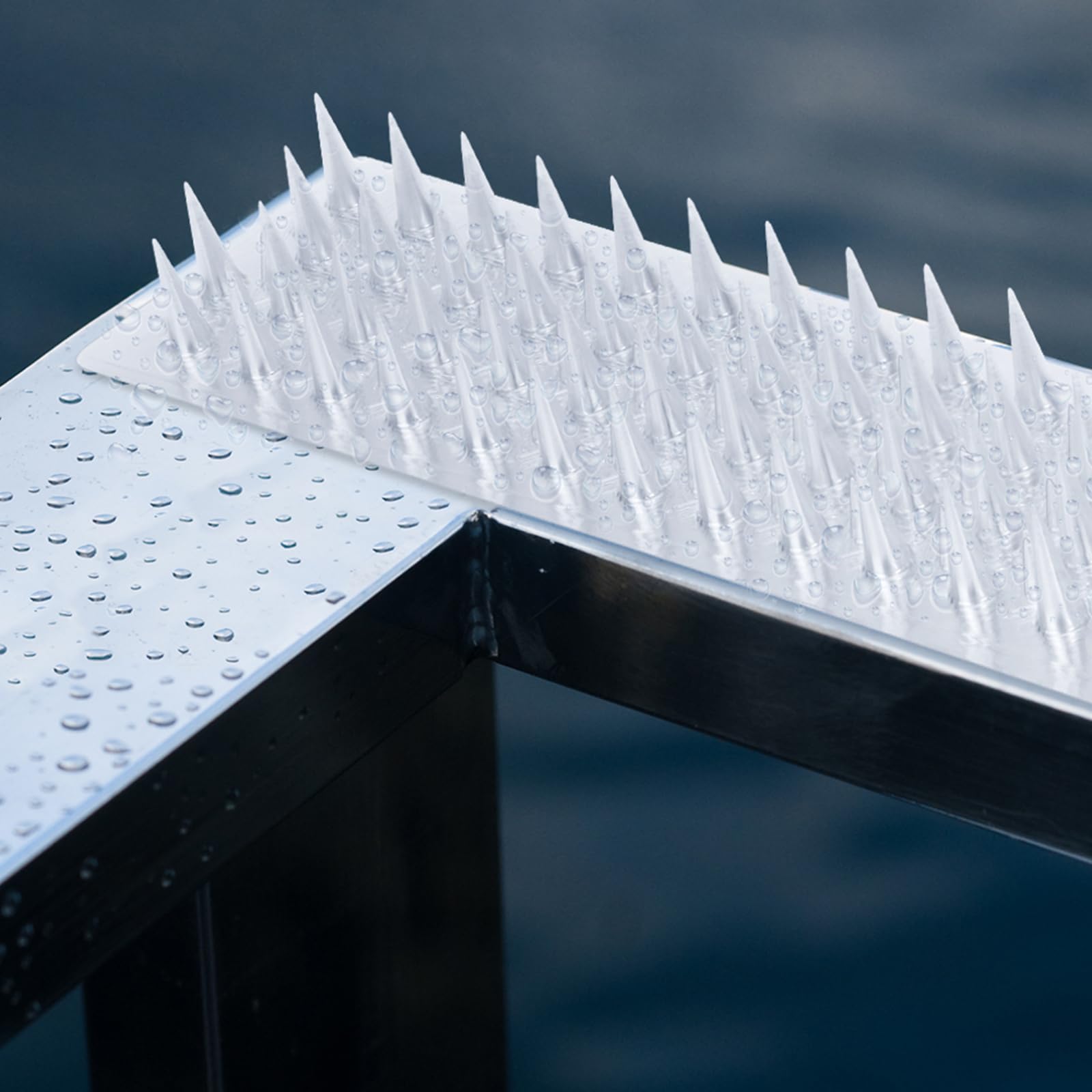 Touri bird spikes on a roof